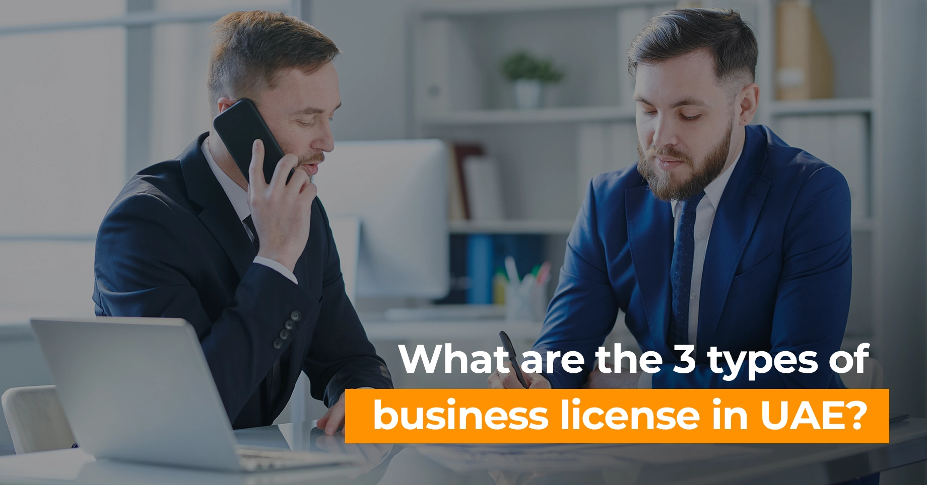 What are the types of business license in UAE?