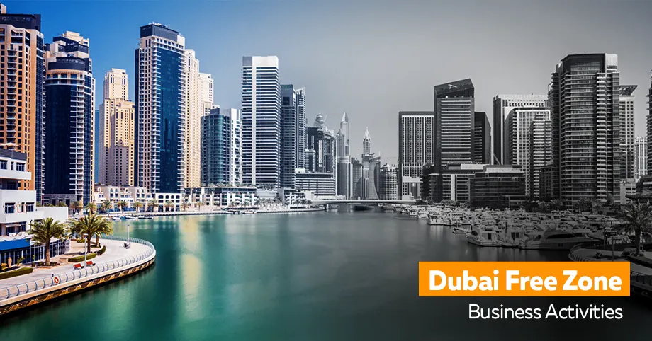 Dubai Free Zone Business Activities